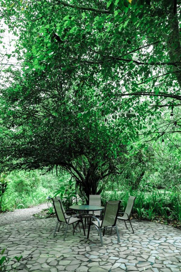 Sarapiquis Rainforest Lodge 外观 照片