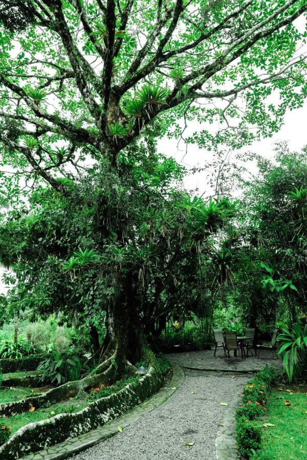 Sarapiquis Rainforest Lodge 外观 照片
