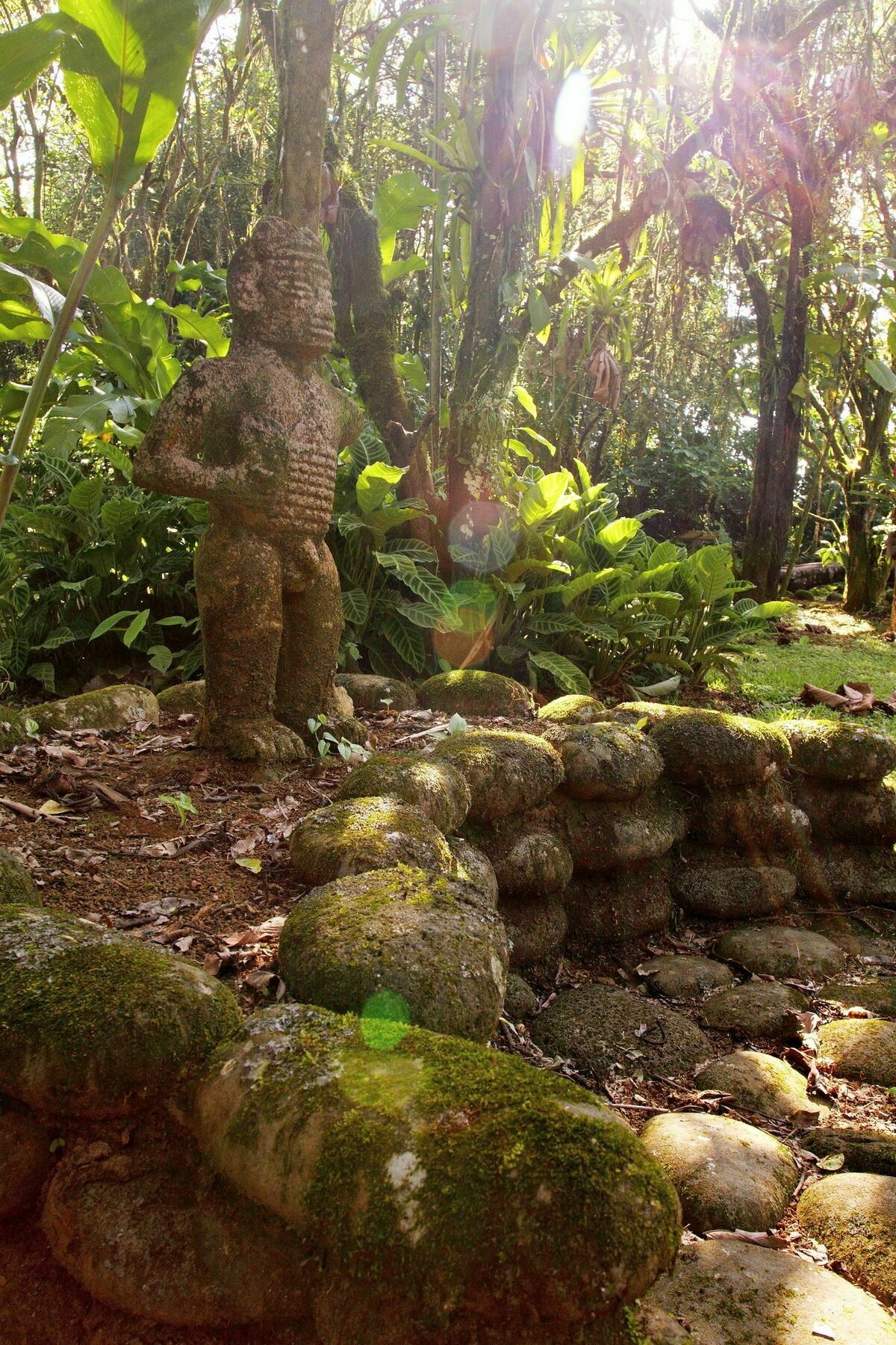 Sarapiquis Rainforest Lodge 外观 照片