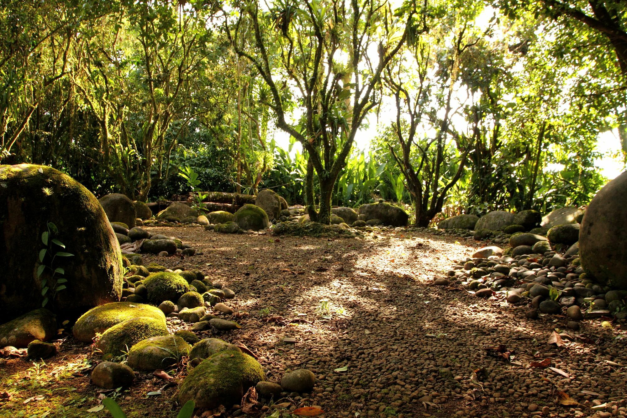 Sarapiquis Rainforest Lodge 外观 照片